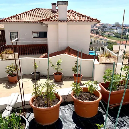 Villa Two Palms Nazaré