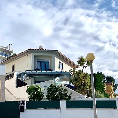 Two Palms