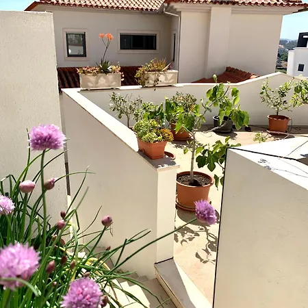 Two Palms Villa *