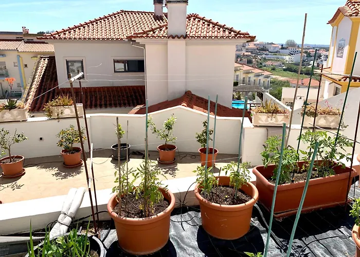 别墅 Two Palms 纳扎雷