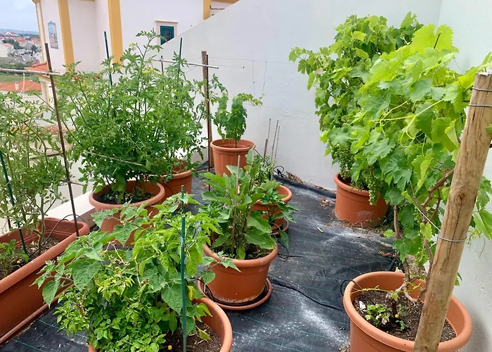 别墅 Two Palms 纳扎雷